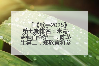 《歌手2025》第七期排名：米奇·盖顿首夺第一，陈楚生第二，郑欣宜将参加下一轮张榜赛