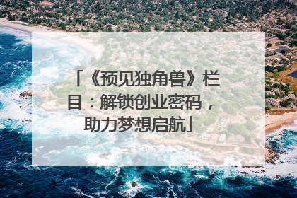 《预见独角兽》栏目：解锁创业密码，助力梦想启航