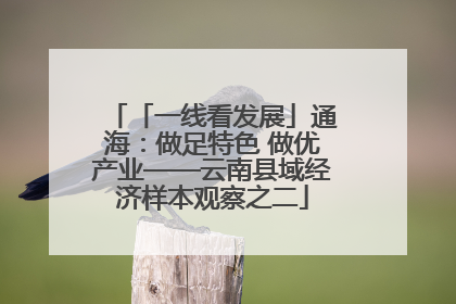 「一线看发展」通海：做足特色 做优产业——云南县域经济样本观察之二