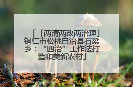 「两清两改两治理」铜仁市松桃自治县石梁乡：“四治”工作法打造和美新农村