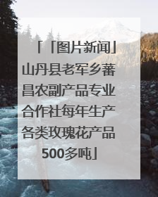 「图片新闻」山丹县老军乡蕃昌农副产品专业合作社每年生产各类玫瑰花产品500多吨