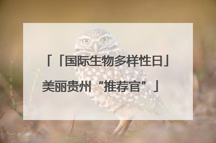 「国际生物多样性日」美丽贵州“推荐官”
