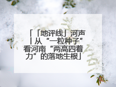 「地评线」河声丨从“一粒种子”看河南“两高四着力”的落地生根