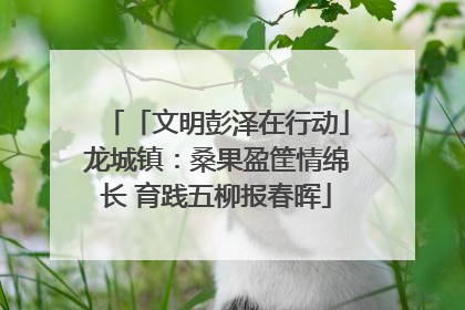 「文明彭泽在行动」龙城镇：桑果盈筐情绵长 育践五柳报春晖