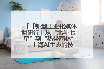 「新型工业化媒体调研行」从“北斗七星”到“热带雨林”：上海AI生态的技术商业共生密码