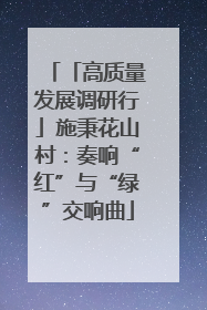 「高质量发展调研行」施秉花山村：奏响“红”与“绿”交响曲