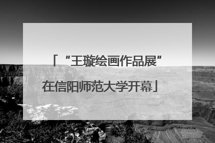 “王璇绘画作品展”在信阳师范大学开幕