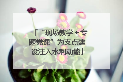 “现场教学＋专题党课”为支点建设注入水利动能