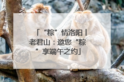 “粽”情洛阳丨老君山：邀您“粽”享端午之约