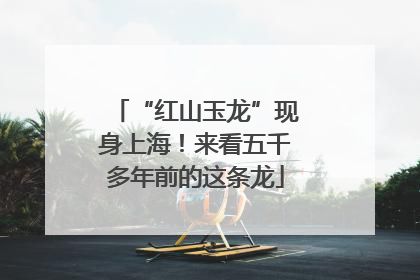 “红山玉龙”现身上海！来看五千多年前的这条龙