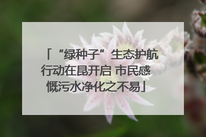 “绿种子”生态护航行动在昆开启 市民感慨污水净化之不易
