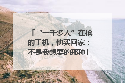 “一千多人”在抢的手机，他买回家：不是我想要的那种
