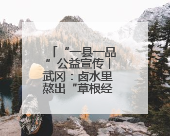 “一县一品”公益宣传丨武冈：卤水里熬出“草根经济”的醇香