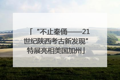 “不止秦俑——21世纪陕西考古新发现”特展亮相美国加州