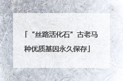 “丝路活化石”古老马种优质基因永久保存