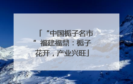 “中国栀子名市”福建福鼎：栀子花开，产业兴旺