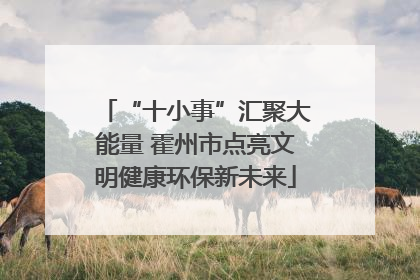 “十小事”汇聚大能量 霍州市点亮文明健康环保新未来