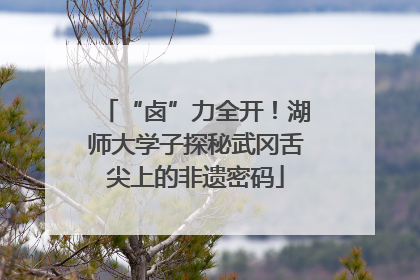 “卤”力全开！湖师大学子探秘武冈舌尖上的非遗密码