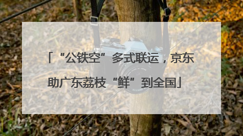 “公铁空”多式联运，京东助广东荔枝“鲜”到全国