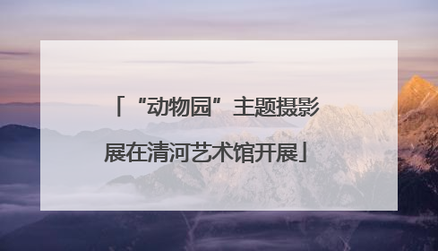 “动物园”主题摄影展在清河艺术馆开展