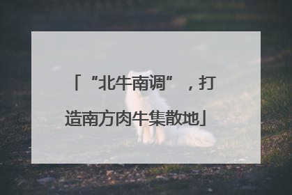 “北牛南调”，打造南方肉牛集散地