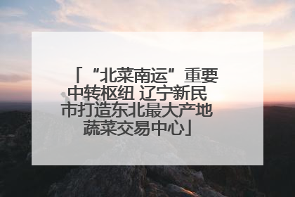 “北菜南运”重要中转枢纽 辽宁新民市打造东北最大产地蔬菜交易中心