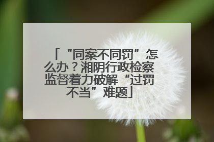 “同案不同罚”怎么办？湘阴行政检察监督着力破解“过罚不当”难题