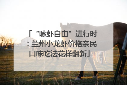 “嗦虾自由”进行时：兰州小龙虾价格亲民口味吃法花样翻新