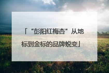 “彭阳红梅杏”从地标到金标的品牌蜕变