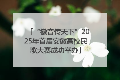 “徽音传天下”2025年首届安徽高校民歌大赛成功举办