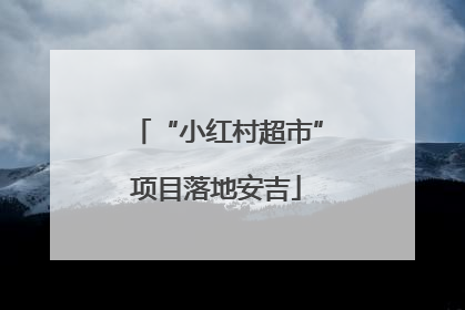 “小红村超市”项目落地安吉