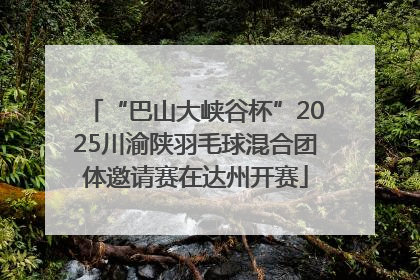 “巴山大峡谷杯”2025川渝陕羽毛球混合团体邀请赛在达州开赛