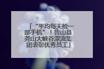 “平均每天捡一部手机”！鲁山县尧山大峡谷漂流集团表彰优秀员工