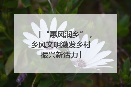 “惠风润乡”，乡风文明激发乡村振兴新活力