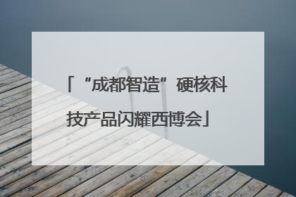 “成都智造”硬核科技产品闪耀西博会