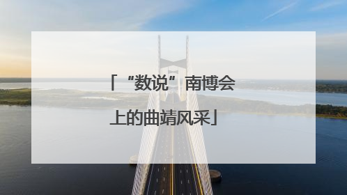 “数说”南博会上的曲靖风采