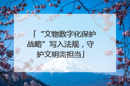 “文物数字化保护战略”写入法规，守护文明需担当