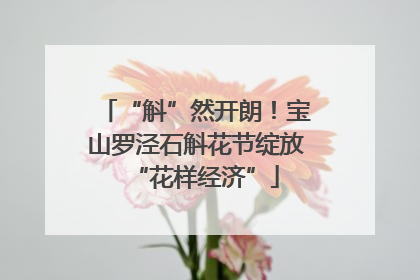 “斛”然开朗！宝山罗泾石斛花节绽放“花样经济”