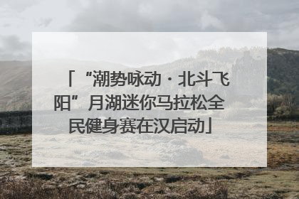 “潮势咏动・北斗飞阳”月湖迷你马拉松全民健身赛在汉启动