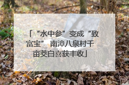 “水中参”变成“致富宝” 南漳八泉村千亩茭白喜获丰收