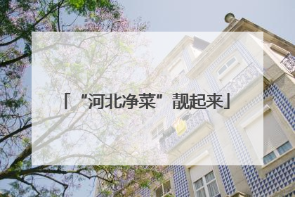 “河北净菜”靓起来