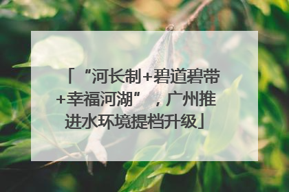 “河长制+碧道碧带+幸福河湖”，广州推进水环境提档升级
