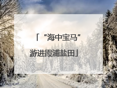 “海中宝马”游进霞浦盐田