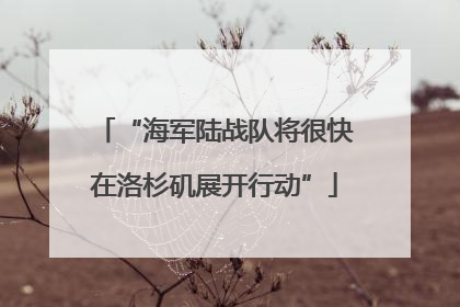 “海军陆战队将很快在洛杉矶展开行动”