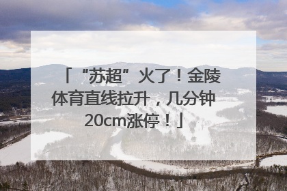 “苏超”火了！金陵体育直线拉升，几分钟20cm涨停！