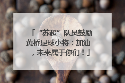 “苏超”队员鼓励黄桥足球小将：加油，未来属于你们！
