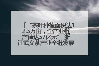 “茶叶种植面积达12.5万亩，全产业链产值达57亿元” 浙江武义茶产业全链发展“加速度”