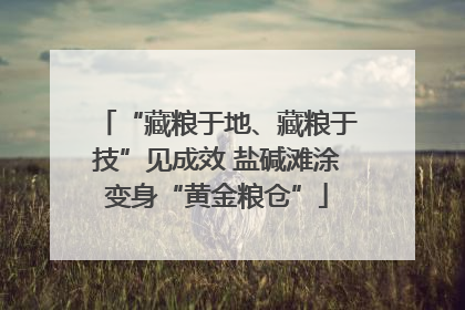 “藏粮于地、藏粮于技”见成效 盐碱滩涂变身“黄金粮仓”