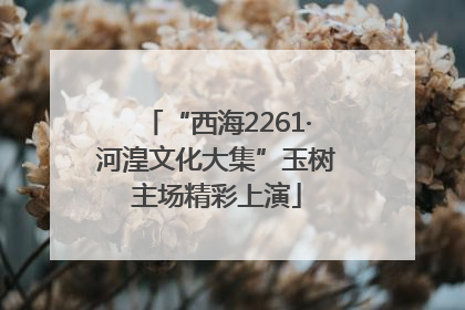 “西海2261·河湟文化大集”玉树主场精彩上演