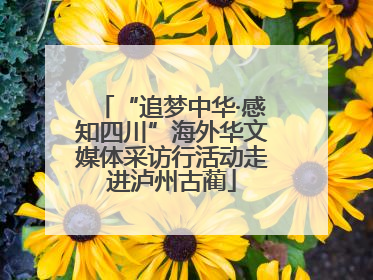 “追梦中华·感知四川”海外华文媒体采访行活动走进泸州古蔺